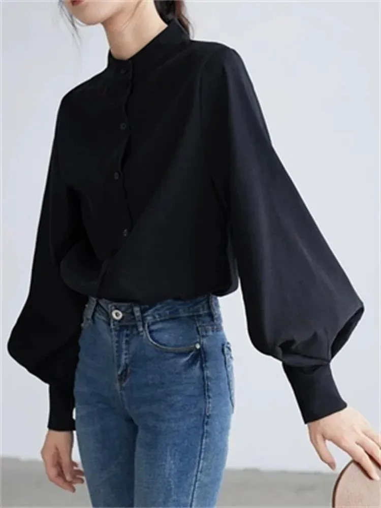 Chiffon Office Long Sleeve Blouse