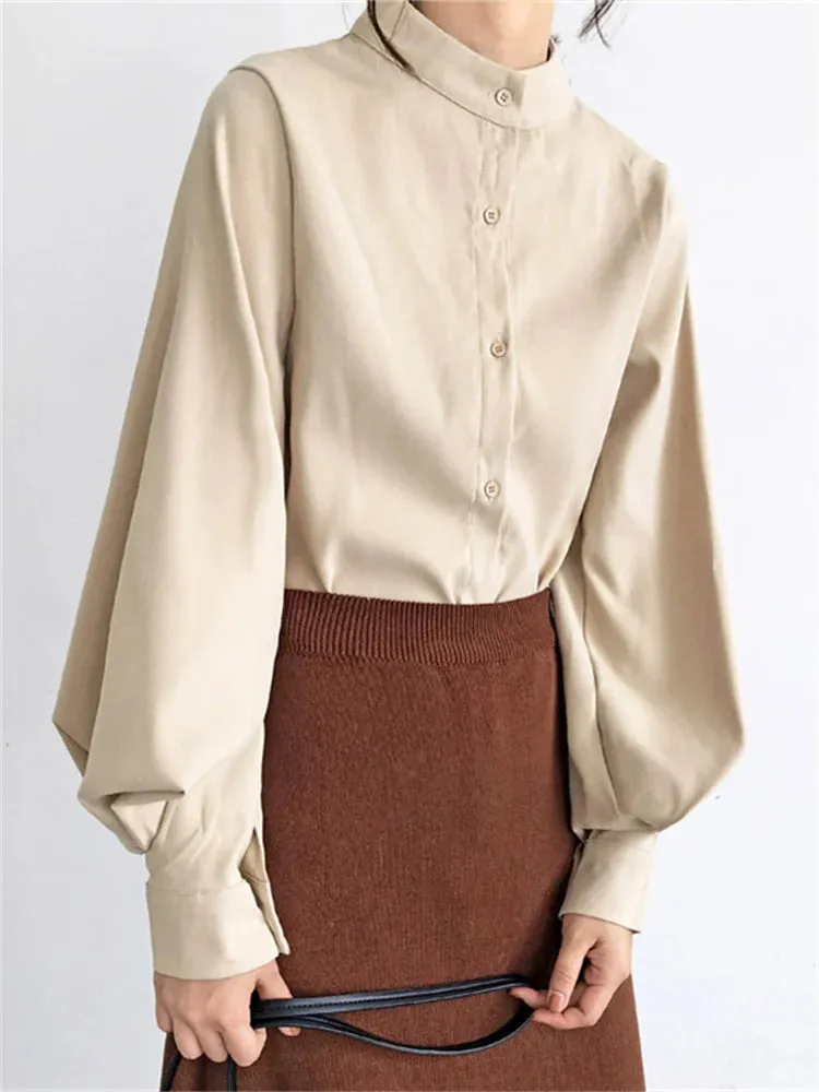 Chiffon Office Long Sleeve Blouse