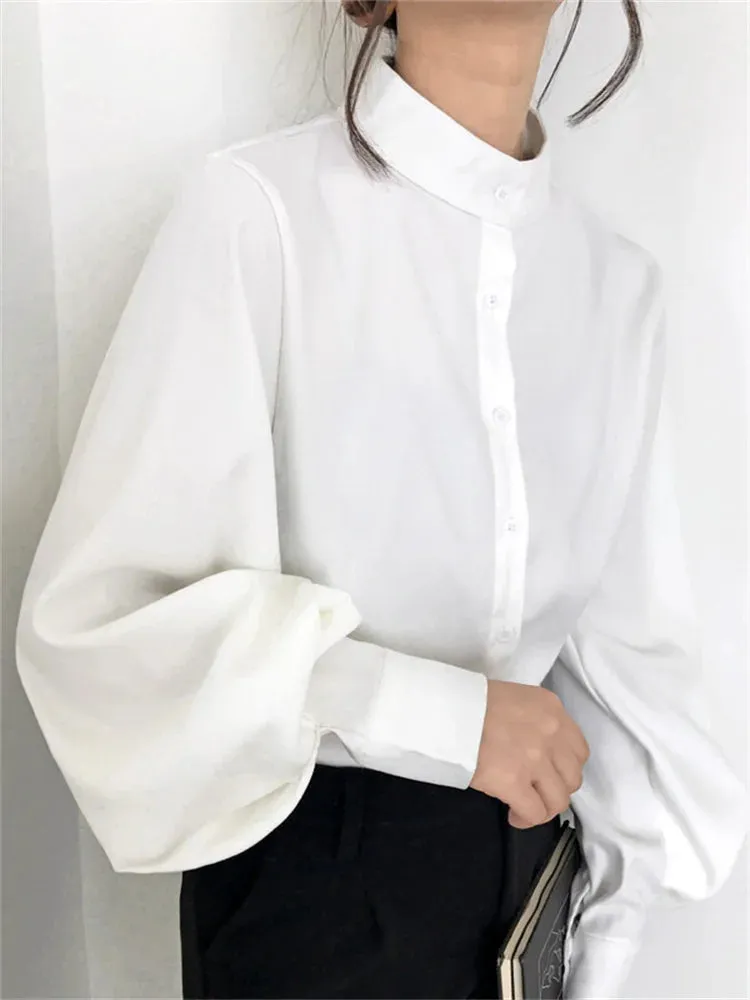 Chiffon Office Long Sleeve Blouse